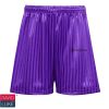 Purple Shadow Stripe Shorts Thumbnail